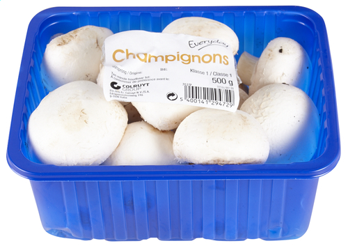 蘑菇 Champions 500g