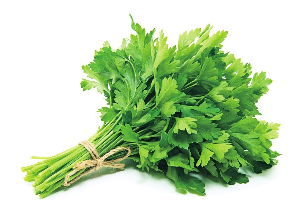 香菜 Coriander  40g