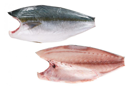 [FP-2871-25]  鰤鱼 JP Hamachi 10 kg 31.00 Euro/kg