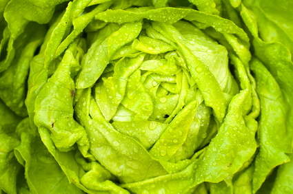[L-0012] 沙拉菜 Salade laiture 1pc