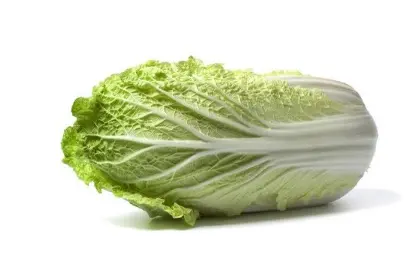 [L-2056] 中国白菜 Chinese Cabbage 1ps